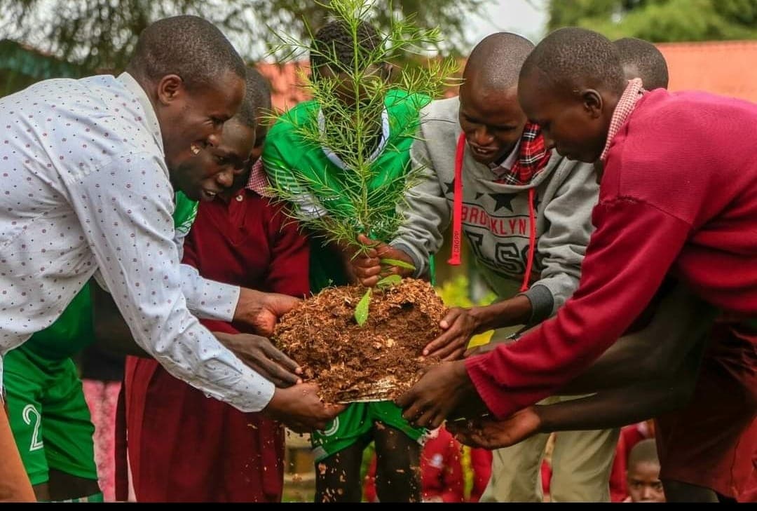 Tree planting